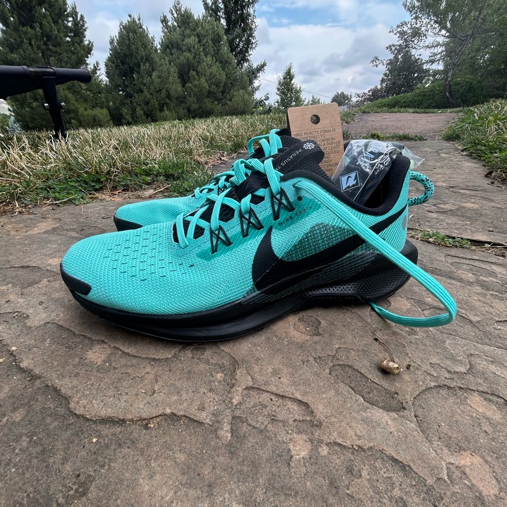 Women’s Nike Pegasus Trail Running Shoe